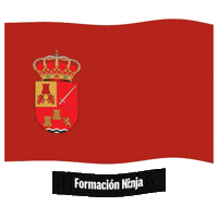 Bandera Andalucia Sticker by Formación Ninja