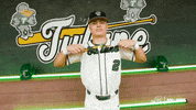 College Baseball Gavin GIF by GreenWave