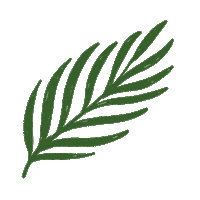 Plant Sticker by Plante Budapest
