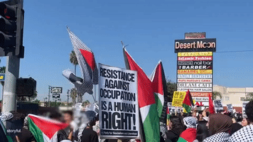 Pro-Palestine Demonstrators March in California