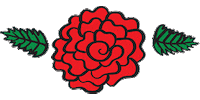 sianbenshaanan flower rose hand drawn flower doodle Sticker