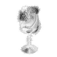 Art Summer Sticker by JVAL Openair