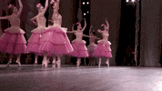 the nutcracker flowers GIF by New York City Ballet