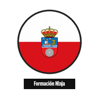Flag Spain Sticker by Formación Ninja