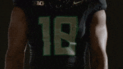 Oregon Football GIF by GoDucks