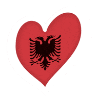 Albania Sticker by Eurovision Song Contest