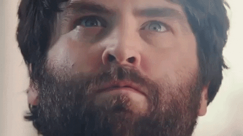 GIF by Shortlist