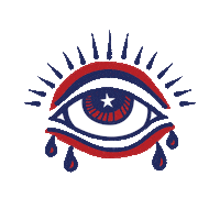 Fourth Of July Eye Sticker by Taylor Reeve