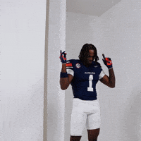 College Football Celebration GIF by Auburn Tigers