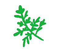 Plants Verde Sticker