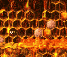 Donkey Kong Country 2 Honey GIF