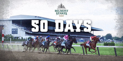 theNYRA  GIF