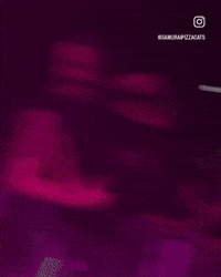 Sebastian GIF