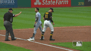 Major League Baseball Sport GIF by MLB