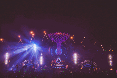 tiesto live GIF by Tiësto