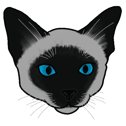 Blue Eyes Cat Sticker by Jasi