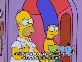 homer simpson episode 20 GIF