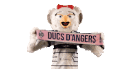 Celebration Goal Sticker by Les Ducs d'Angers