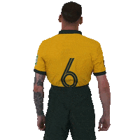 Boyle Hibs Sticker by Football Australia