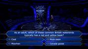 Wwtbams08E08 GIF by Stellify Media