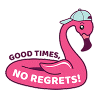Pool Flamingo Sticker by Loverboy