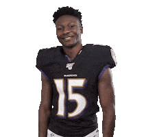 Baltimore Ravens Football Sticker by NFL