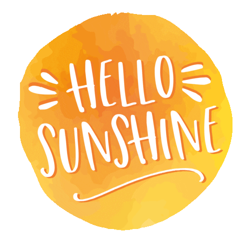 Summer Hello Sticker by infodesignerin