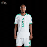 Fifa World Cup Algeria GIF by Respective