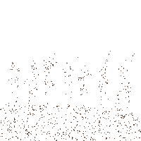 Collar Sticker
