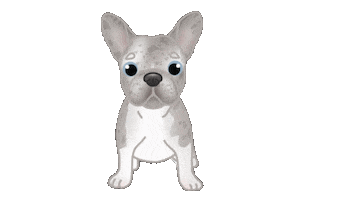 French Bulldog Dog Sticker by zoopeez