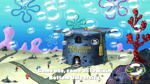 season 9 episode 25 GIF by SpongeBob SquarePants