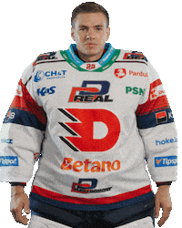 Hockey Will Sticker by HC Dynamo Pardubice