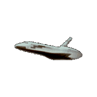 Space Rocket Sticker by PBS