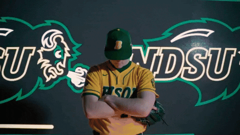 Ndsu Baseball GIF by NDSU Athletics