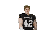 American Football Sticker by Frankfurt Galaxy