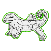 Miami Lizard Sticker by lenay