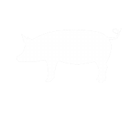 britishbacon_de pig bacon geordies baconlover Sticker