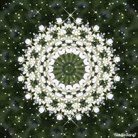 New Beginning Wedding GIF