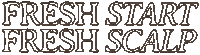 Fresh Start Sticker by Eva Pro Hair