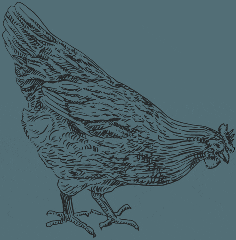 GIF by Weston Table