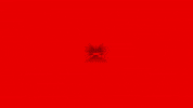 Omg Baterias GIF by Rede OMG - Omega Baterias