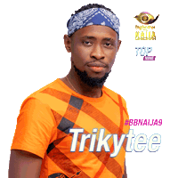 Bbnaija Sticker by Big Brother Naija