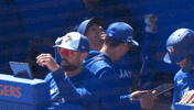 Happy Blue Jays GIF by Toronto Blue Jays