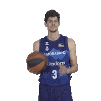 Liga Endesa Sport Sticker by ACB