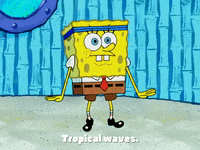 season 4 GIF by SpongeBob SquarePants