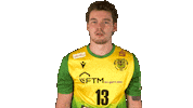 Handball-Bundesliga What Sticker by LIQUI MOLY HBL
