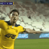 Ankaragücü GIF