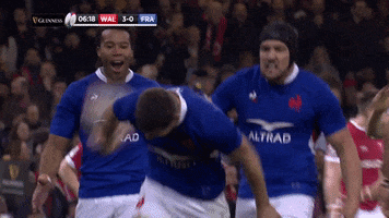 Celebrate France GIF by Guinness Six Nations