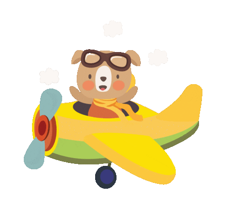 Plane Sticker