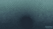 Fitness Health GIF by RENPHO